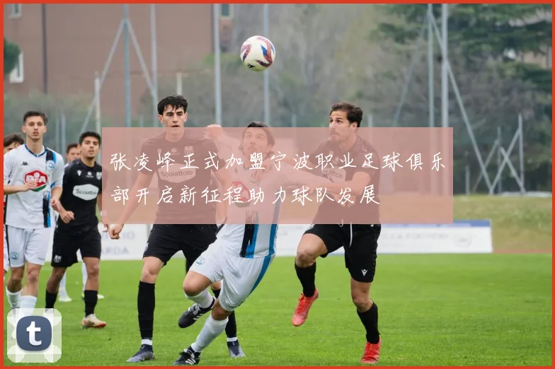 张凌峰正式加盟宁波职业足球俱乐部开启新征程助力球队发展