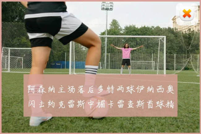 阿森纳主场落后多特两球伊纳西奥闪击约克雷斯中楣卡雷查斯首球精彩回顾